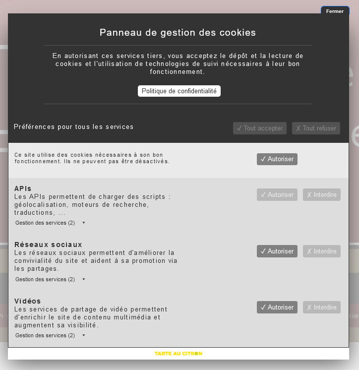 panneau_gestion_cookies_utilisateurs.PNG